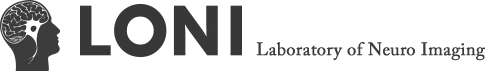 LONI Logo